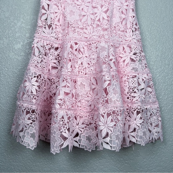 Bardot Elise Lace Dress, Washed Pink 6 - Sleeveless, Feminine, Sexy, EUC, Small - Picture 4 of 13